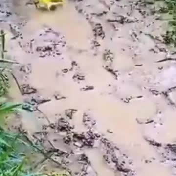 Amazon Kitchen products Smart gadgets & items for every home # 126 "Gr liton Home Gadgets"