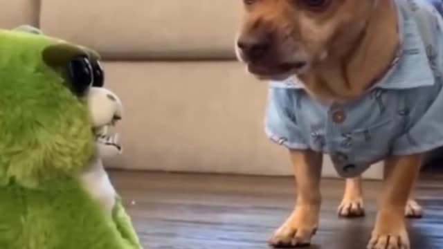 CUTE ANIMALS THAT WILL SHOCK YOU 😮