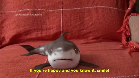 2020 shark baby