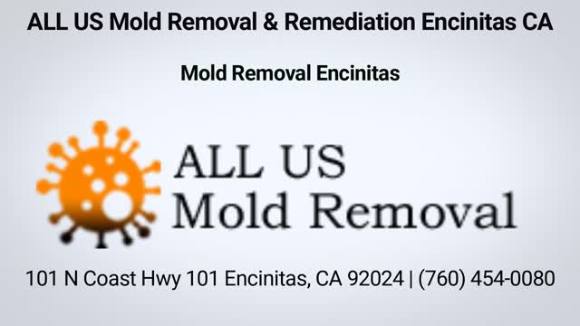 ALL US Mold Removal in Encinitas, CA