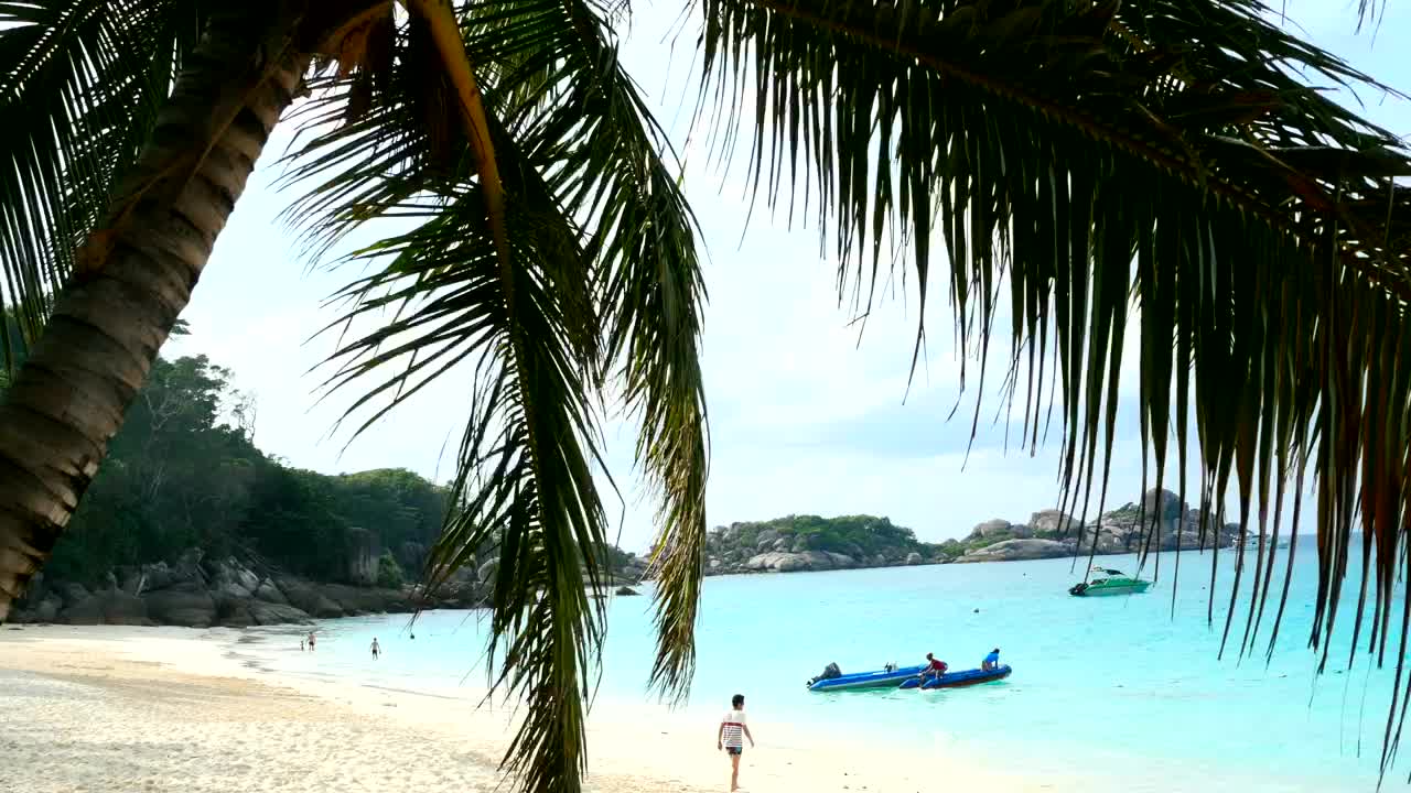 Paradise beach with turquoise water