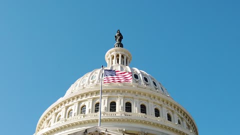 American flags