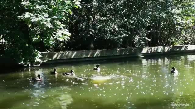nice amazing you should watch