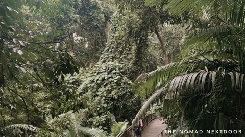 Monkey Forest Sanctuary in Ubud, Bali