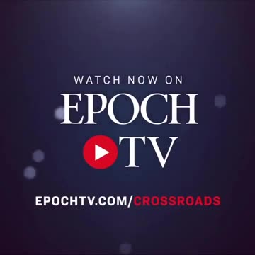 Bill Gates thinks chopping down & burying trees reduce carbon dioxide in the air