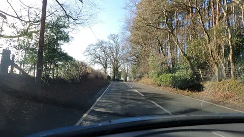 Donkeys in the road . In the New forest.