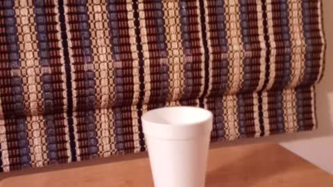 Magic Cup Trick