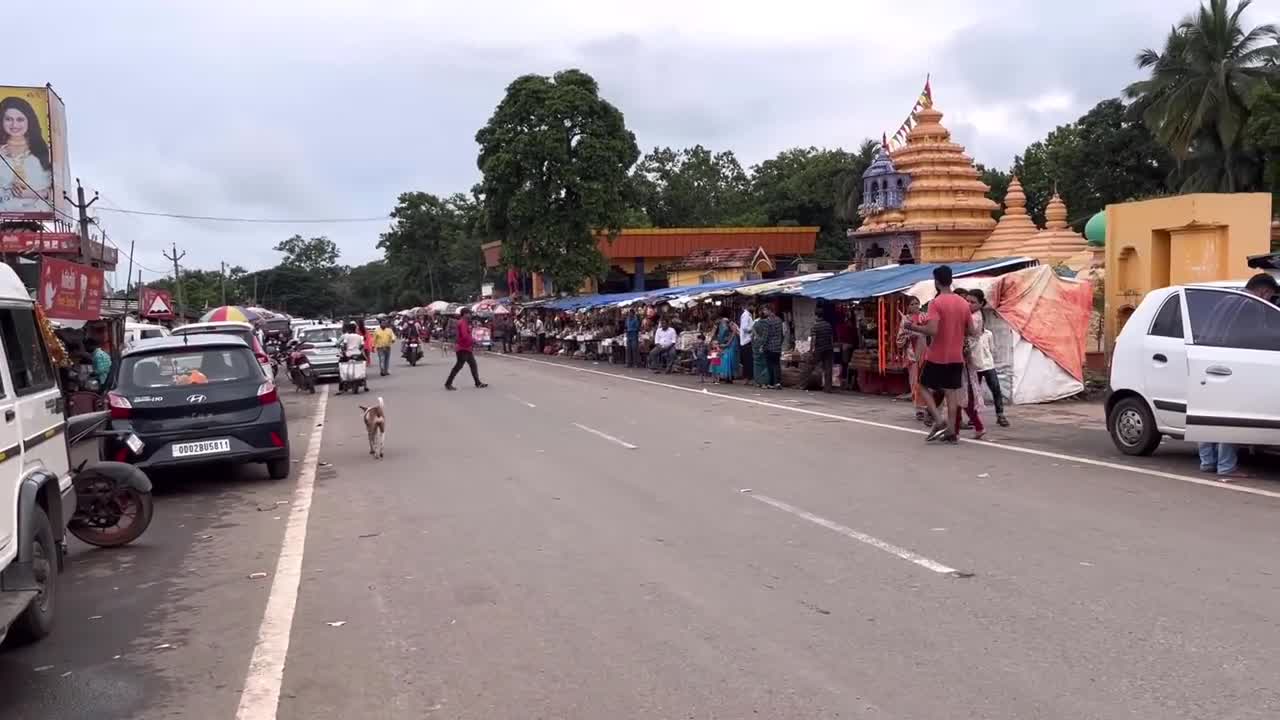 Aji Keounjhar Jungle Chhatu Pura Deshi Pura Mohu-4