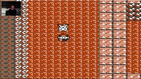 Pokémon Yellow Nuzlock Challenge Part 11