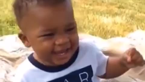 Adorable baby laughs