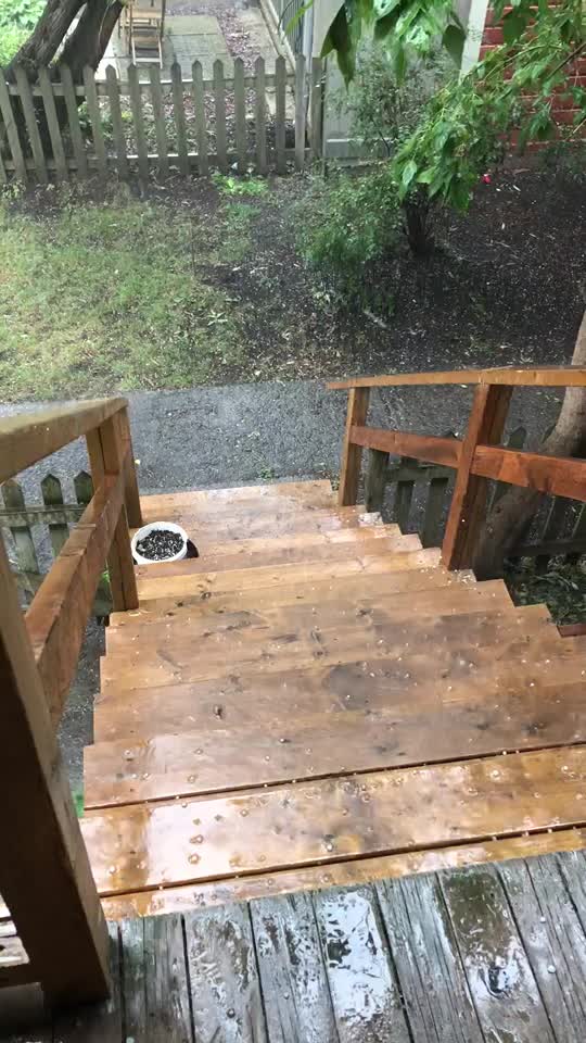 The Severe Thunderstorm Warning In Montreal Resulted In A Little Hail Storm (VIDEO)