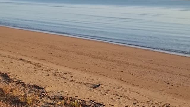 Beautiful north Queensland