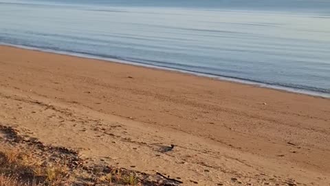 Beautiful north Queensland