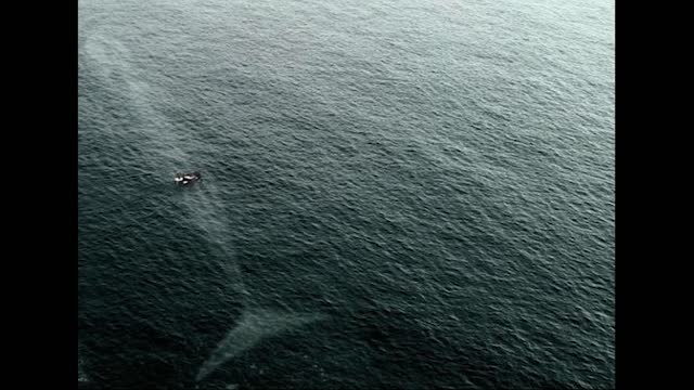 thalassophobia images with creepy minecraft ambience!
