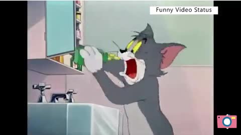 Funny cat 14