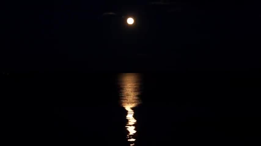 Relaxing Sleep Music Deep Sleeping Music Relaxing Music Stress Relief Meditation Music Flying