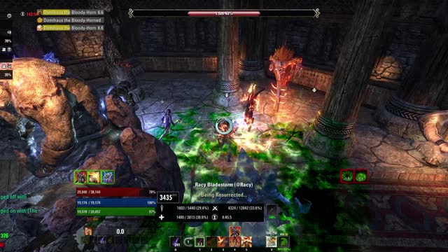 Falkreath Hold Vet Final Boss Fight With Racy, Steffie and Guideux