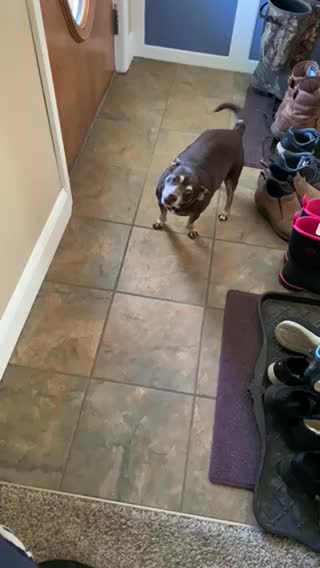 Ready to go for a ride