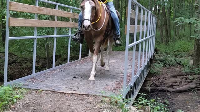 Hank crossing the bridge both ways at Waterloo - 13 August 2022