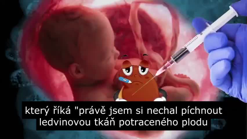 Virologický podvod Covid-19 vysvětlen v 19-ti minutách