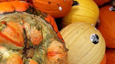 Decorative ornamental pumpkins