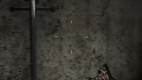 Tom Clancy Ghost Recon Wildlands Shorts