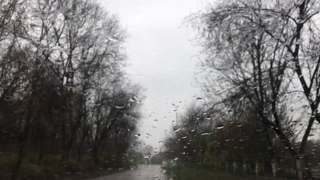Relaxing Rain for Deep Sleep and Relaxation - Rain Noise/Chuva Relaxante para Dormir