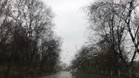 Relaxing Rain for Deep Sleep and Relaxation - Rain Noise/Chuva Relaxante para Dormir