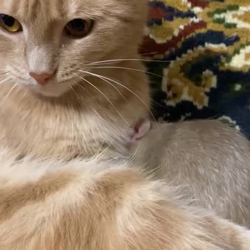 Friendship is strong