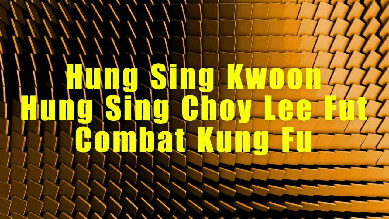 Fut San Hung Sing Kwoon Rules of Conduct