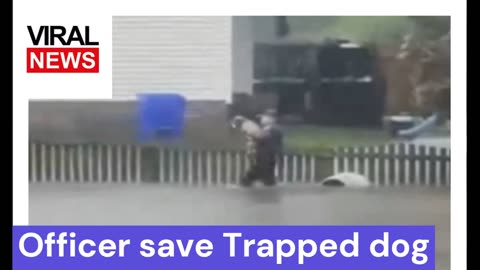 Watch officer save trapped dog | Viral Video