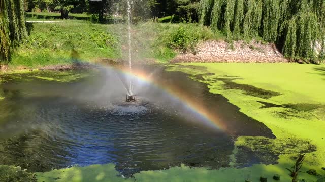 Łęczyca Park 2020