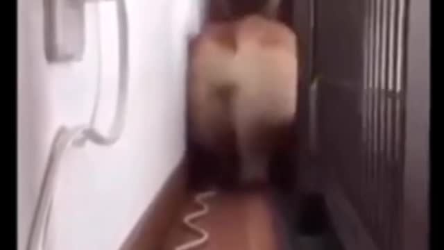 random video 11