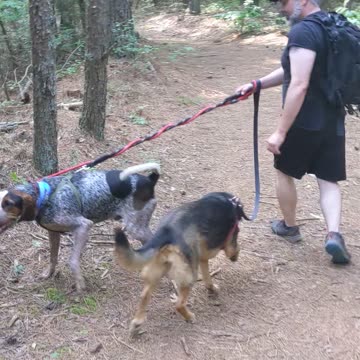 Riverbend walk with a beautiful singer Phantom