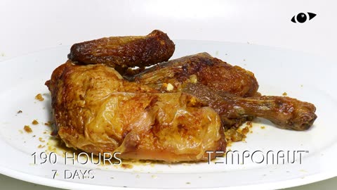 Barbecue Chicken Timelapse
