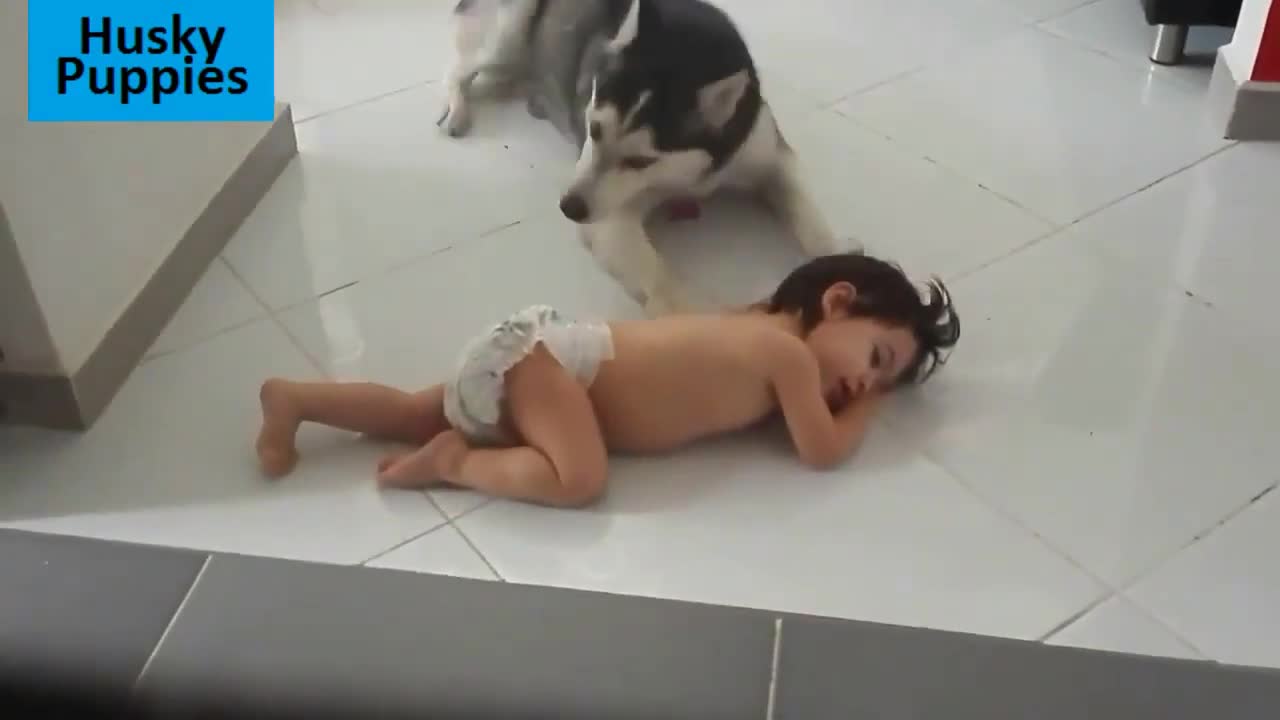 Cute and adorable babies playing with their pet! Awesome!