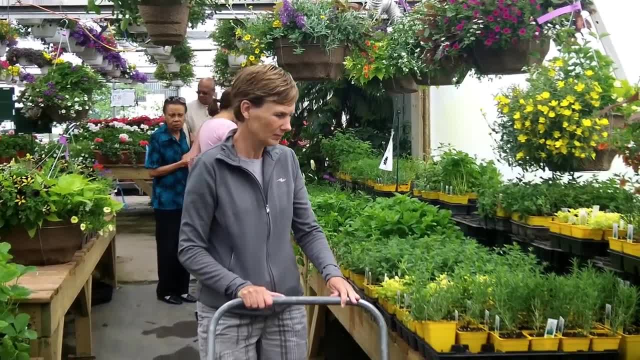 KINGSWAY GREENHOUSE