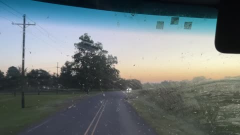 GUNS WILL KEEP US SAFE