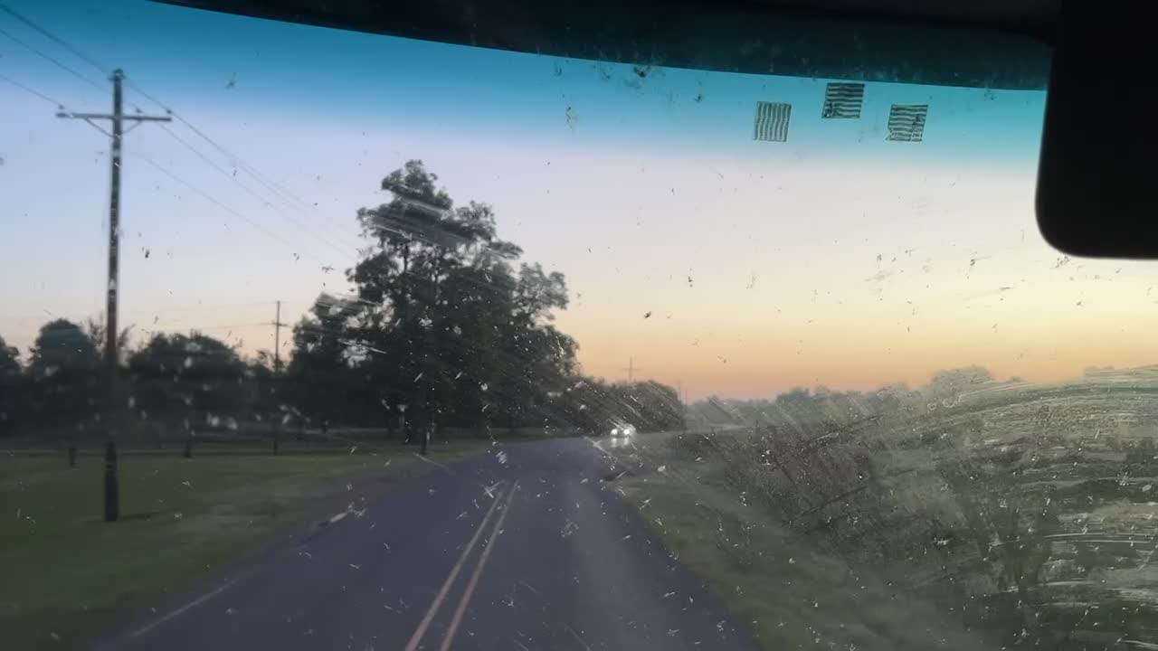 GUNS WILL KEEP US SAFE