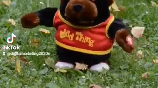 The monkey is still bouncing, and is he not a bouncing champion?