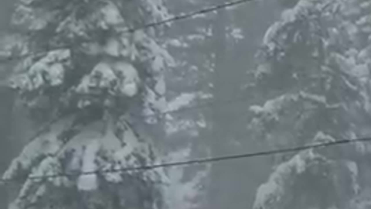 Listen to that wind 💨 A blizzard is pummeling California & the Nevada