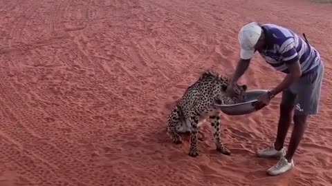 Just An Ordinary Day In Africa