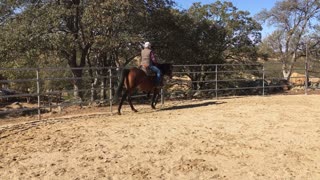 Hind end over - Front end across