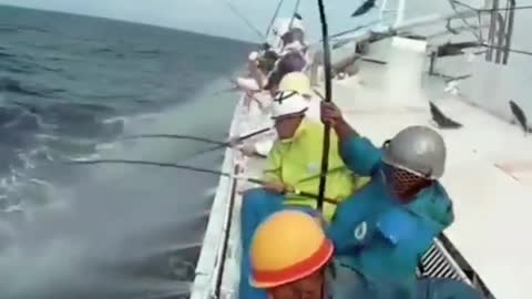 This is a beautiful and charming water-dwelling species