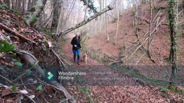A Woman Brings The Extra Touch As She Walks Her Dog