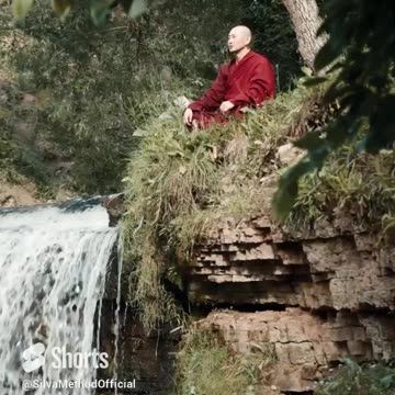 Fuel your journey with The Silva Method.