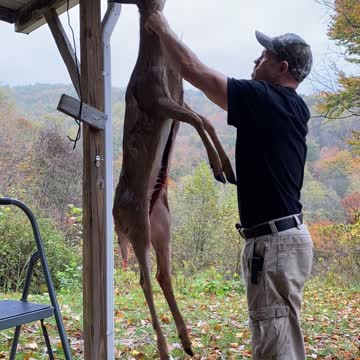 Time Lapse of Skinning Deer