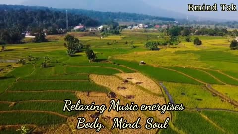 Relaxing Music | Sleeping, Meditation, Stress Relief | [253] ⭐️