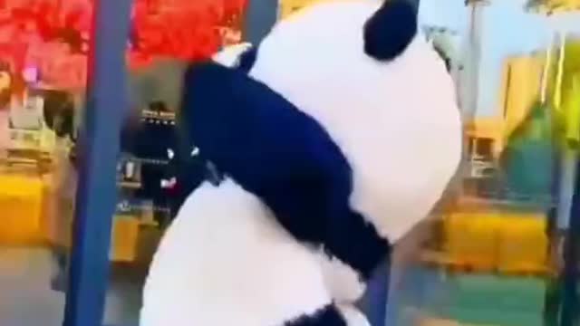 Funny panda