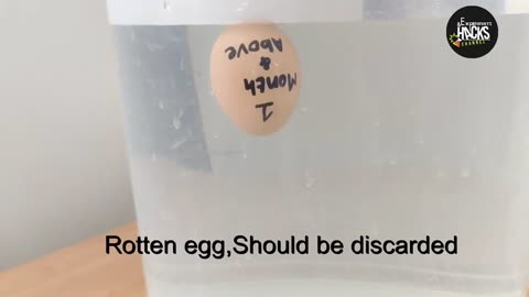 How to find rotten egg